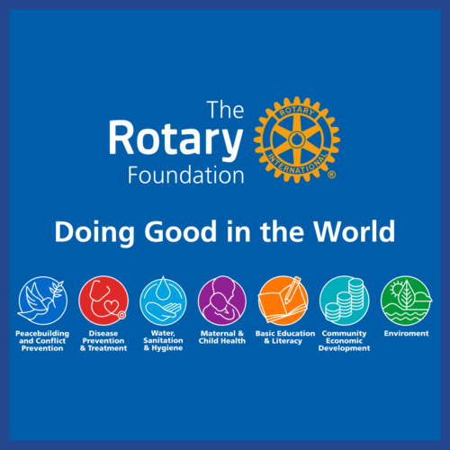 Seminario Distrettuale Rotary Foundation 2025